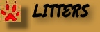 Current Litters